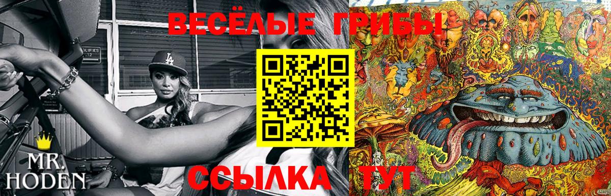 Галлюциногенные грибы MAGIC MUSHROOMS Кольчугино
