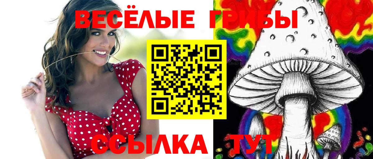 Галлюциногенные грибы Cubensis  как найти закладки  Кольчугино  Галлюциногенные грибы MAGIC MUSHROOMS  Вход с VPN 